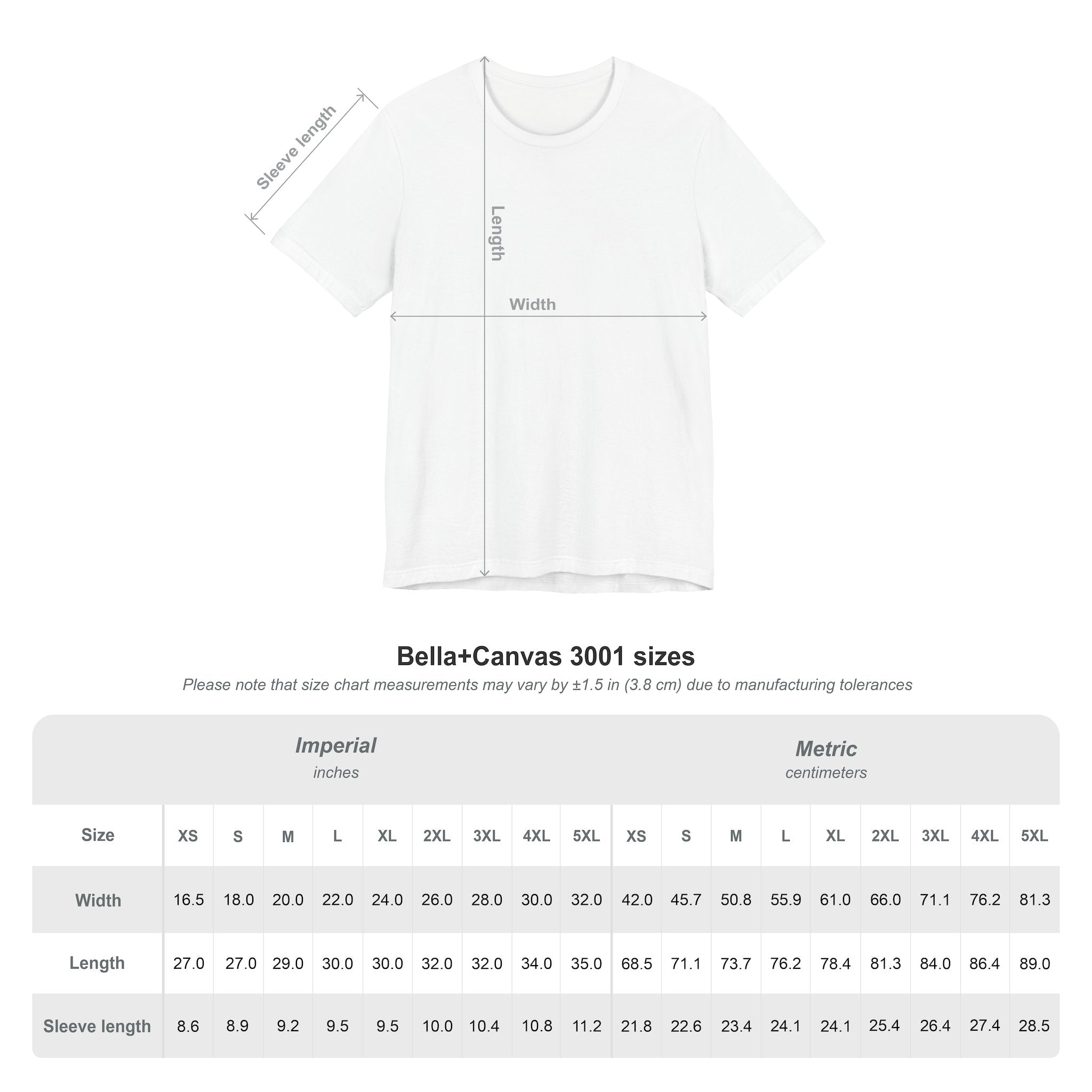 You Can't Secede Bella Canvas Unisex T-shirt