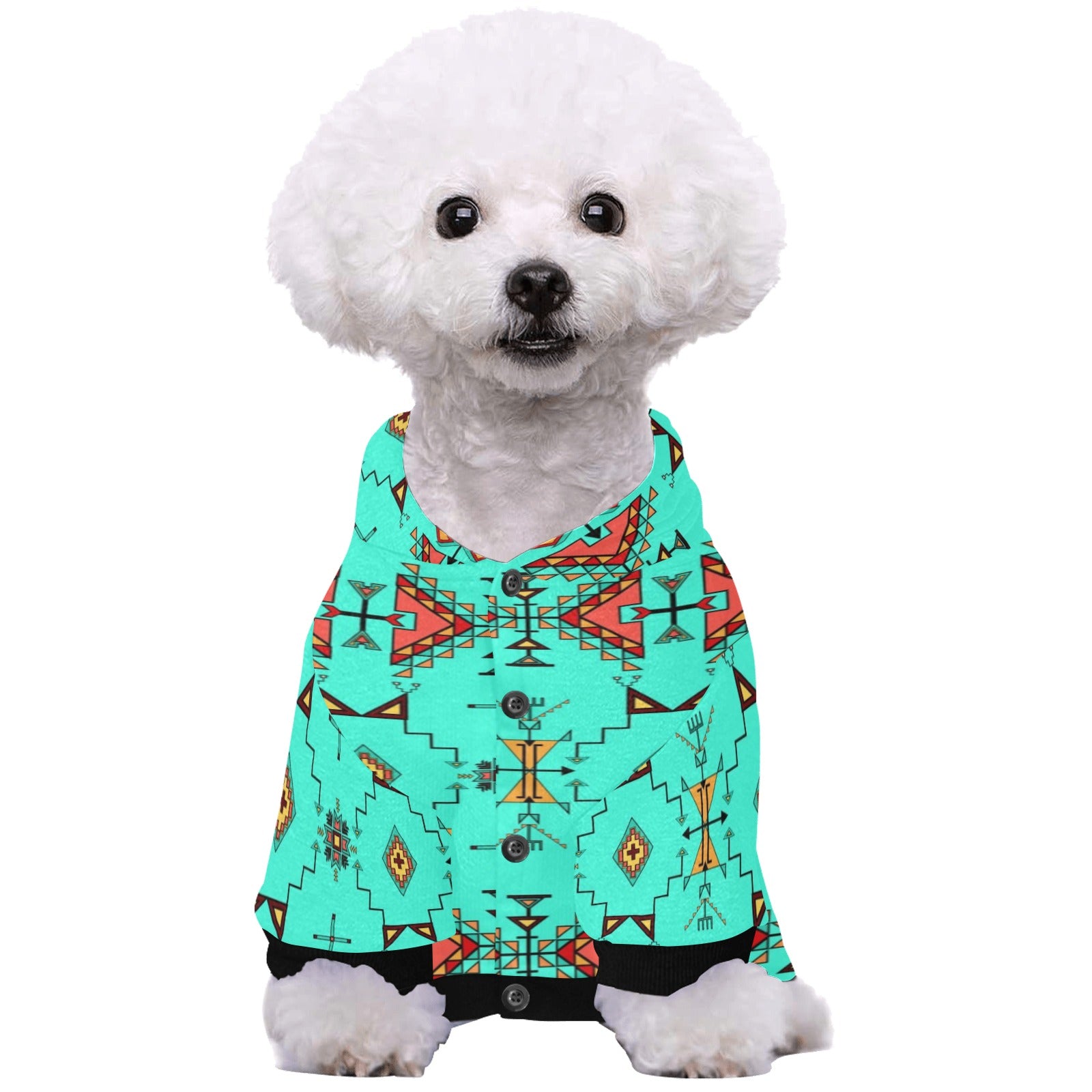 Thunder Flight Turquoise Pet Dog Hoodie