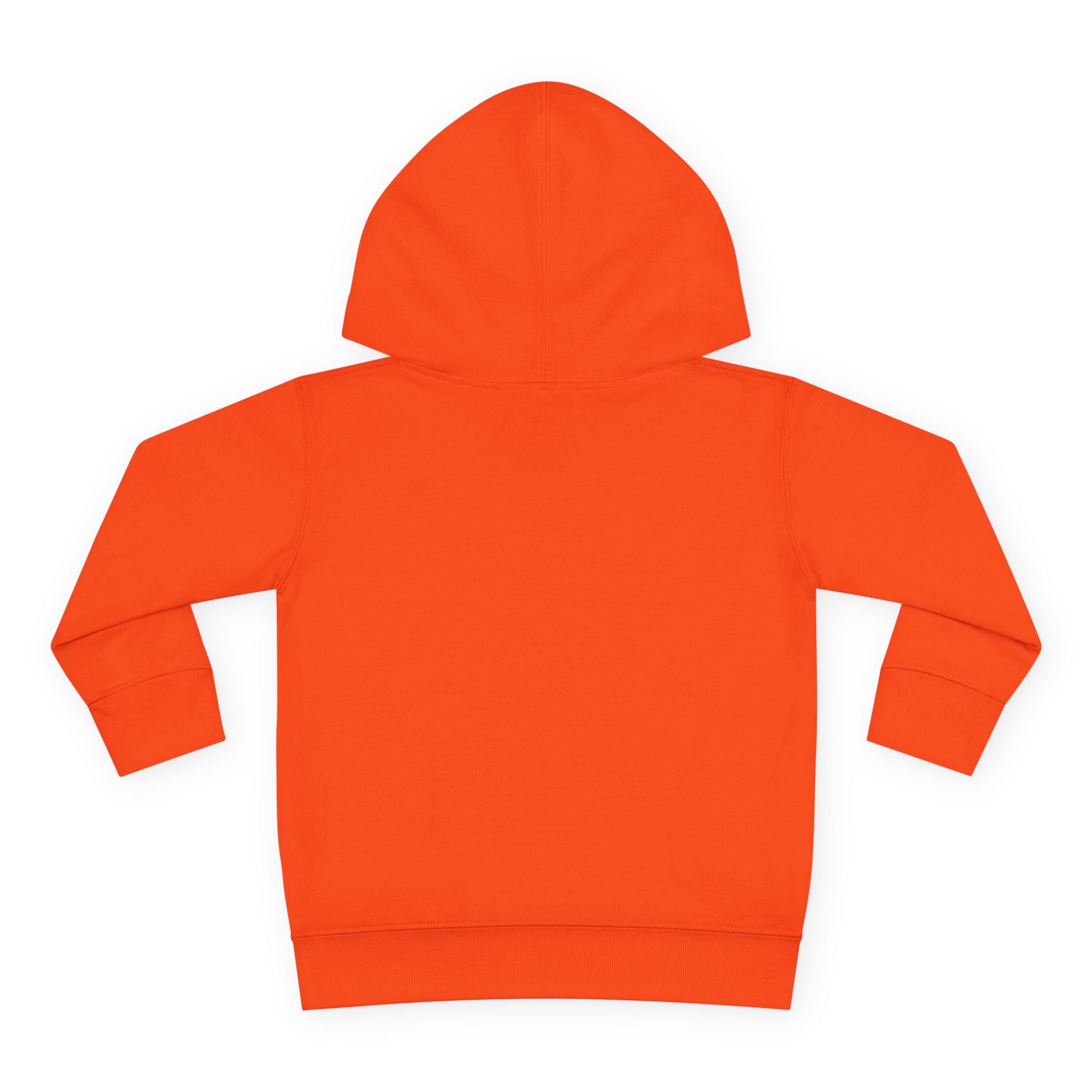 Seven Generations Medicine Toddler Fleece Hoodie