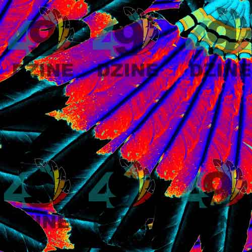 Eagle Feather Remix 42 Inch Cotton Poplin Pre Order