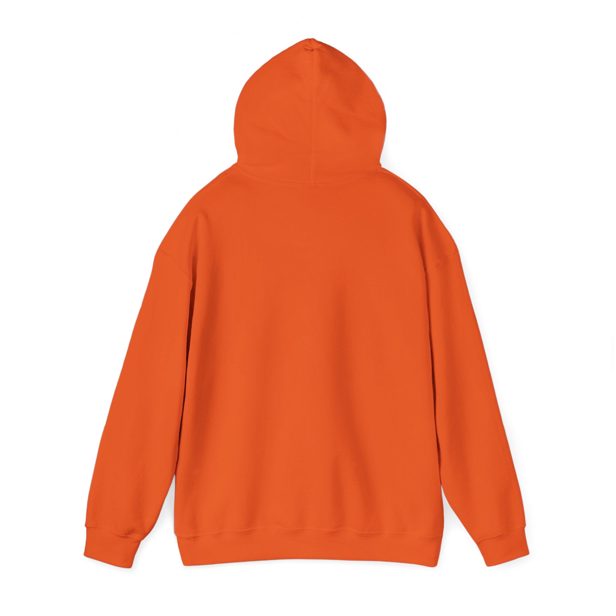 Seven Generations Medicine Unisex Hooded Sweatshirt