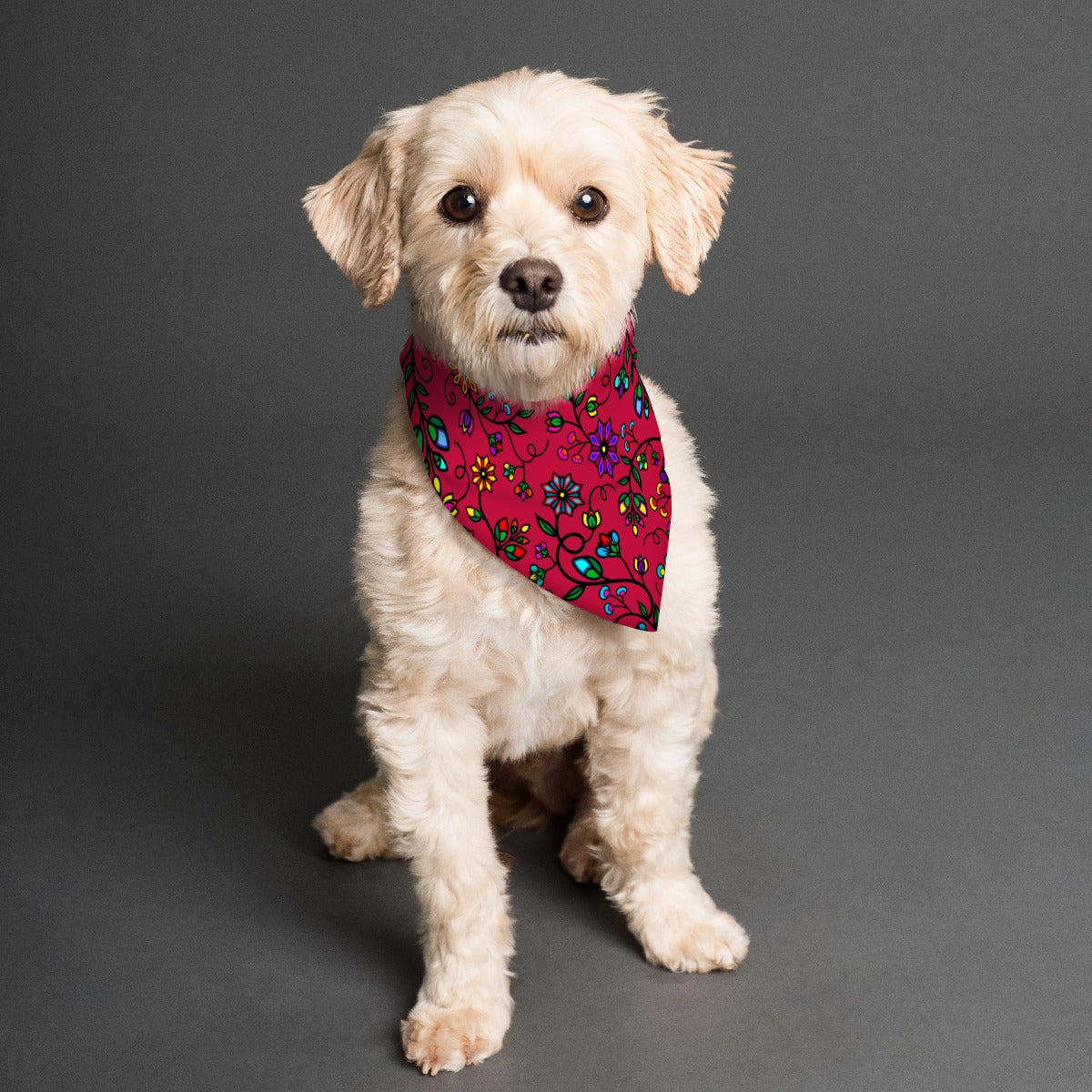 Prairie Paintbrush Passion Berry Pet's Scarf