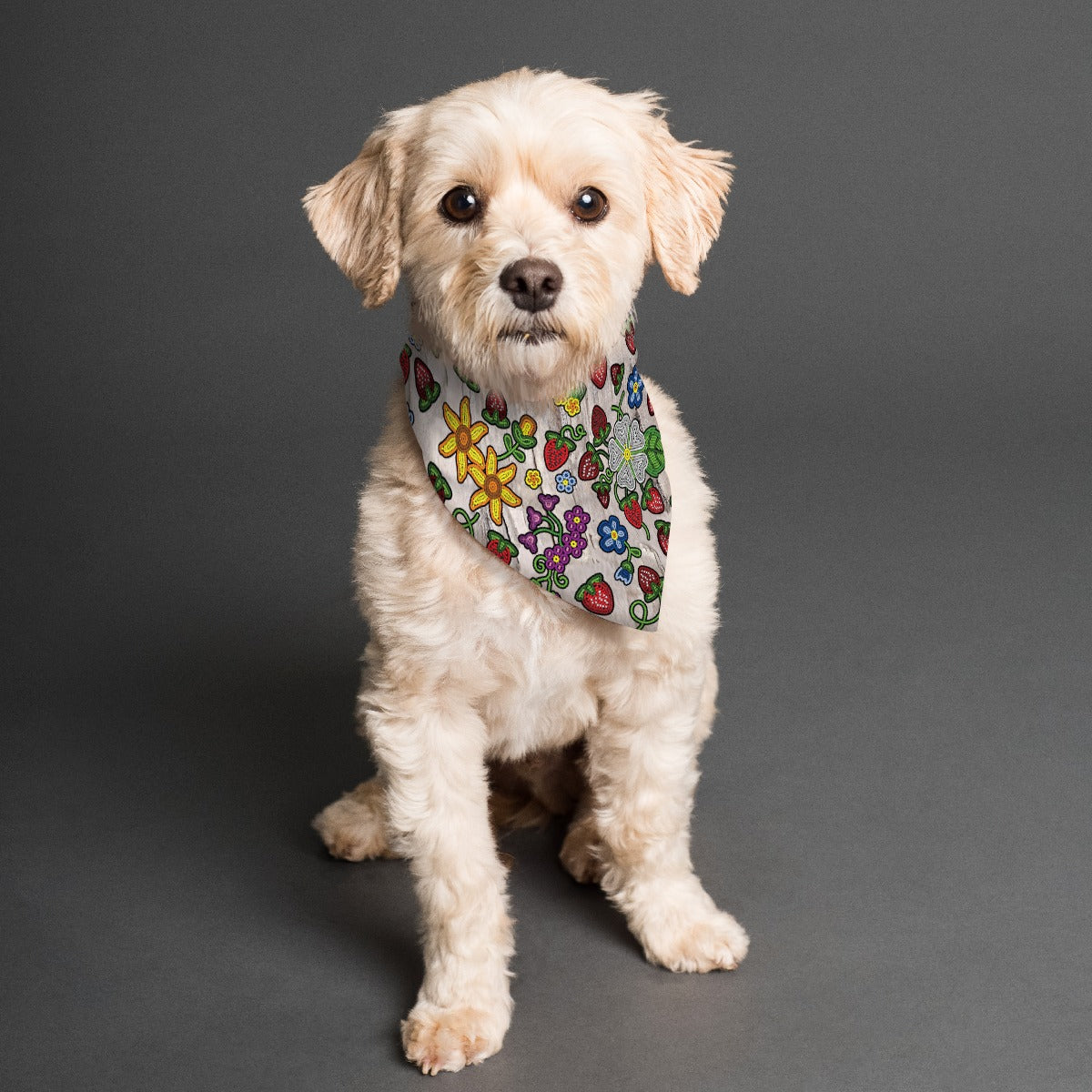 Berry Pop Bright Birch Pet's Scarf