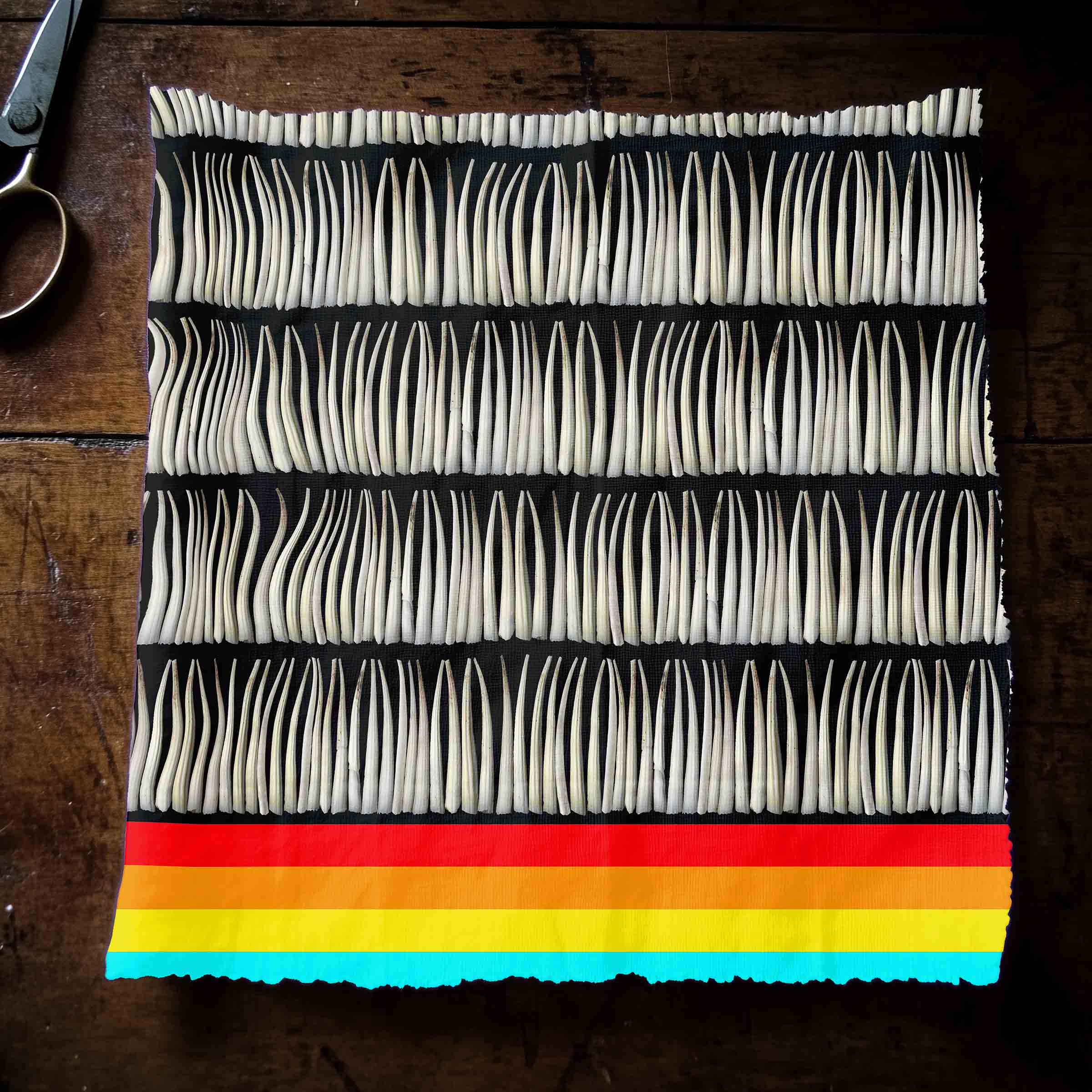 Dentalium on Black 42 Inch Cotton Poplin Pre Order