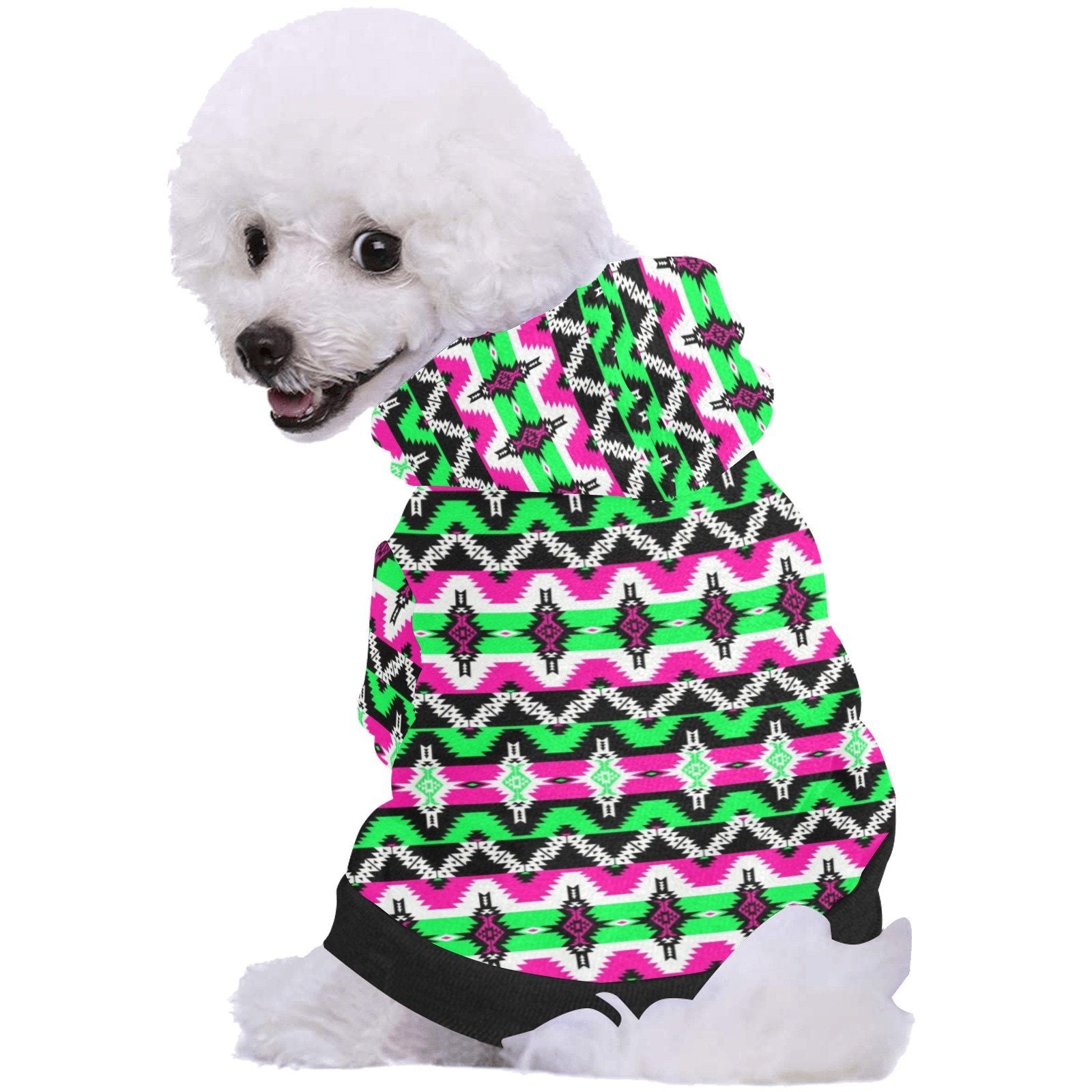 Two Spirit Ceremony Pet Dog Hoodie Pet Dog Hoodie e-joyer 